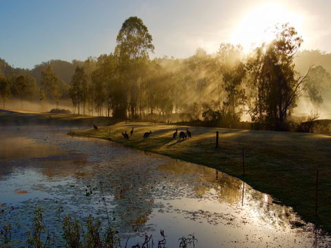 Ramada Resort Kooralbyn Valley - Accommodation Yamba 6