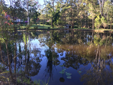 Telegraph Retreat Cottages - Accommodation Yamba 8