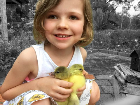 Telegraph Retreat Cottages - Accommodation Yamba 9