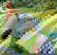 Warrabah campground and picnic area - Accommodation Yamba