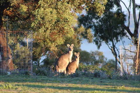 Abercrombie Ridge - Accommodation Yamba 7