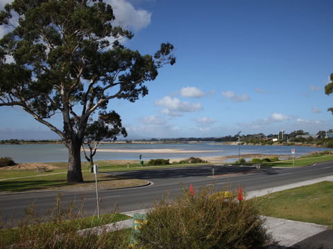 Bridport Seaside Lodge - Accommodation Yamba 5