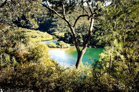 Calabash Bay Lodge - Accommodation Yamba 5