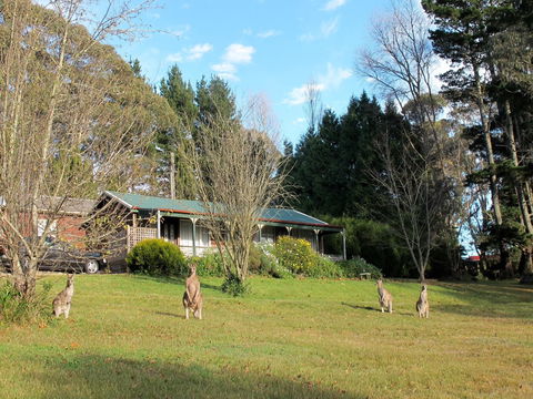 Cedar Lodge Cabins - Accommodation Yamba 0