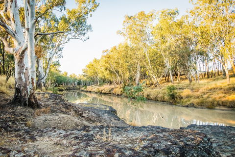 Condamine River Caravan Park - Accommodation Yamba 1