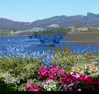Donalea Bed  Breakfast Tasmania - Accommodation Yamba