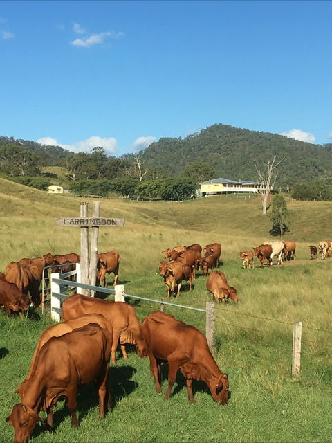 Farringdon Homestead - Accommodation Yamba 0