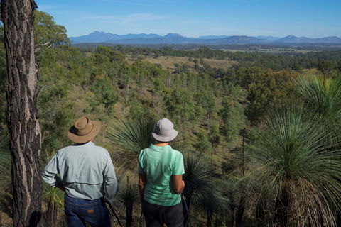 Farringdon Homestead - Accommodation Yamba 7