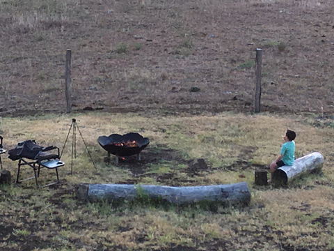 Farringdon Homestead - Accommodation Yamba 8