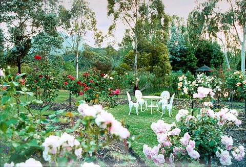 Kingbilli - Accommodation Yamba 4