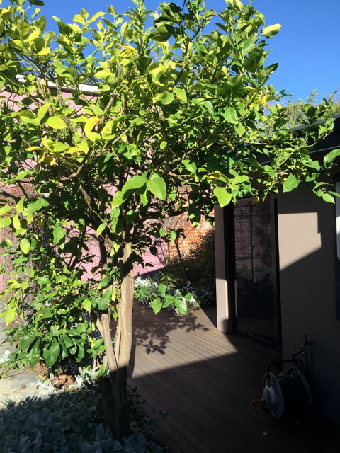 Westerley Accommodation - James House - Accommodation Yamba 9