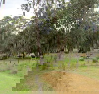 Ben Halls campground - Accommodation Yamba