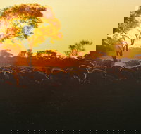 Clandulla Cottages  Farmstay - Accommodation Yamba