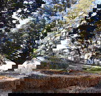 Longwood Retreat - Accommodation Yamba