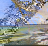 Margaret Cove Camp at Stokes National Park - Accommodation Yamba