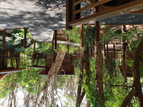 Melaleuca Surfside Backpackers - Accommodation Yamba 0