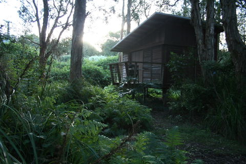 Melaleuca Surfside Backpackers - Accommodation Yamba 1