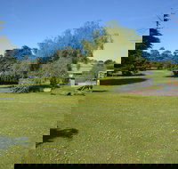 Pine Country Caravan Park - Pet Friendly - Accommodation Yamba