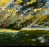 Scenic Rim Adventure Park - Accommodation Yamba