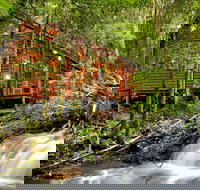 The Mouses House - Rainforest Retreat - Accommodation Yamba