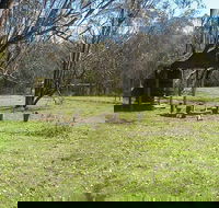 Tin Mines campground - Accommodation Yamba