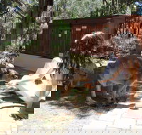 Yelverton Brook Eco Spa Retreat and Conservation Sanctuary - Accommodation Yamba