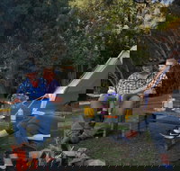 Zeehan Bush Camp - Accommodation Yamba