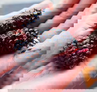 Baileys Lane - Accommodation Yamba