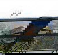 Hatters Hideout Lyres Loft - Accommodation Yamba