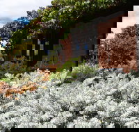 Kangaroos in the Top Paddock - Accommodation Yamba