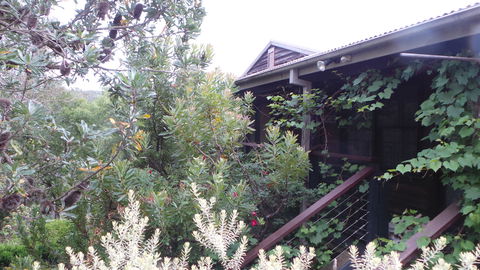 Rachels Retreat - Accommodation Yamba 0