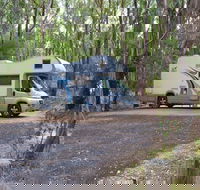 Wollomombi campground - Accommodation Yamba