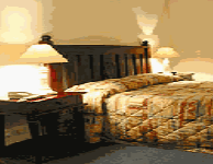 Comfort Inn Treetop Walk - Accommodation Yamba 0