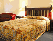 Comfort Inn Treetop Walk - Accommodation Yamba 2