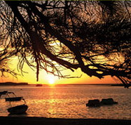 Pelican's Nest - Accommodation Yamba