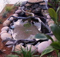 Equal Balance Bed and Breakfast - Accommodation Yamba