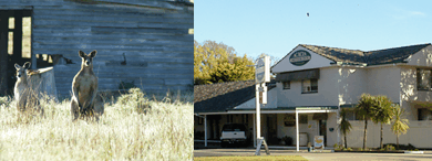 Acacia Motor Inn - Accommodation Yamba 5