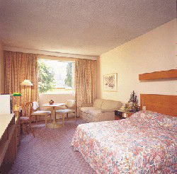 Country Comfort Armidale - Accommodation Yamba 3