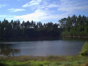 Jenny's Lake Farm B&B - Accommodation Yamba 5