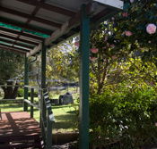 Bow River Cottage - Accommodation Yamba