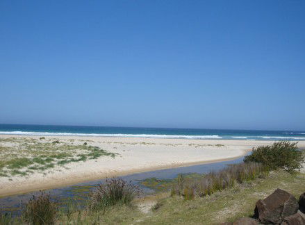 Racecourse Beach Tourist Park - Accommodation Yamba 2
