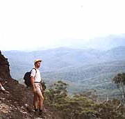 Mimosa Hill Wildflower Farm Cottages - Accommodation Yamba