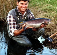 Clover Cottage Country Retreat - Accommodation Yamba