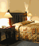 Tree Top Walk Motel - Accommodation Yamba 3
