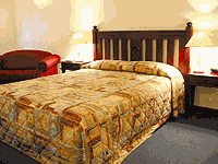 Tree Top Walk Motel - Accommodation Yamba 4
