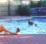 Shark Bay Caravan Park - Accommodation Yamba