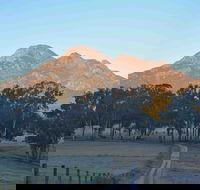 Barney Creek Vineyard Cottages - Accommodation Yamba
