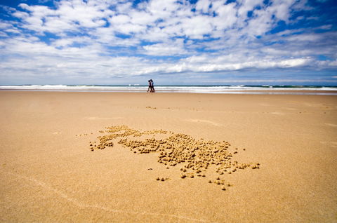 BIG4 Nambucca Beach Holiday Park - Accommodation Yamba 1