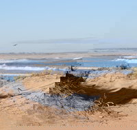 Chadinga Conservation Park Campground - Accommodation Yamba