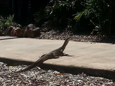 Escape 1770 - Accommodation Yamba 2